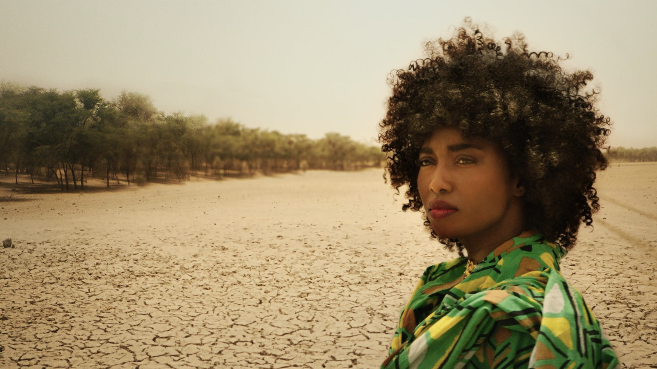 THE GREAT GREEN WALL