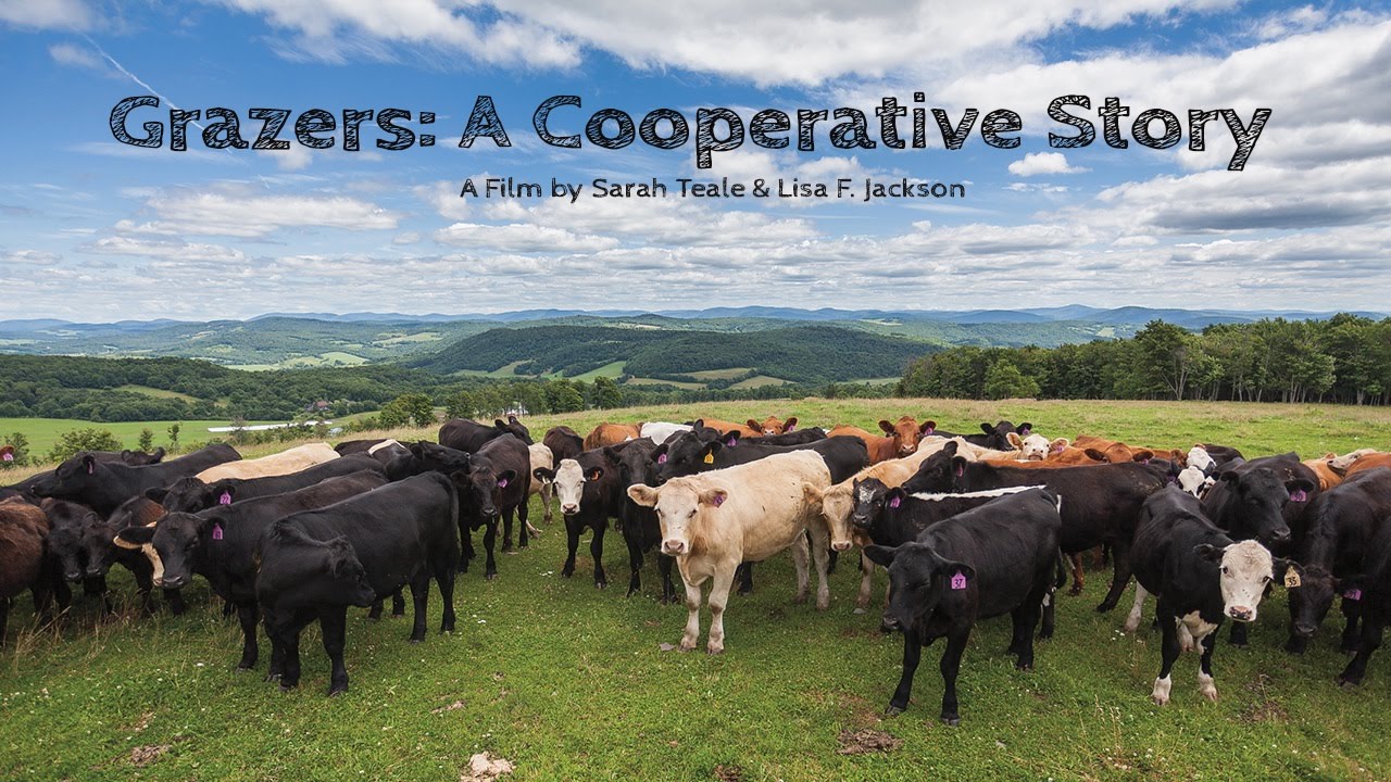 GRAZERS: A COOPERATIVE STORY